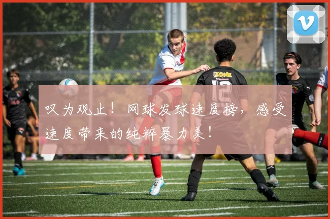 叹为观止!网球发球速度榜,感受速度带来的纯粹暴力美!