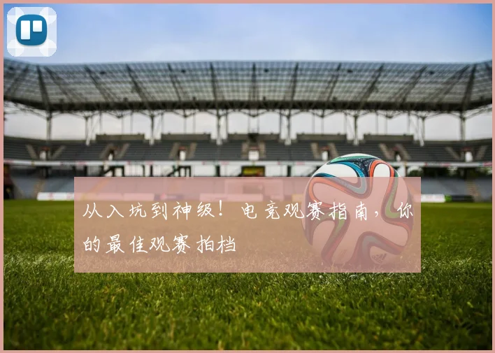从入坑到神级!电竞观赛指南,你的最佳观赛拍档